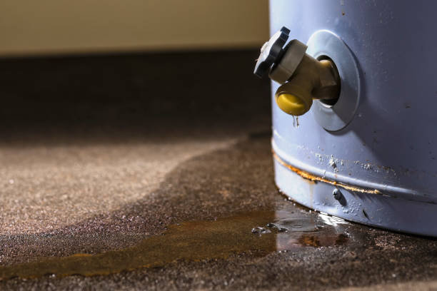 Best Residential water damage restoration  in Thunderbolt, GA