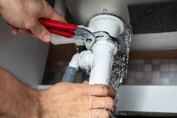Best Basement water damage restoration  in Thunderbolt, GA