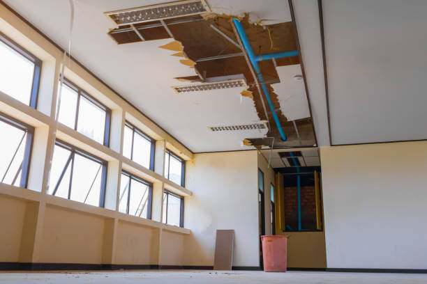 Best Sewage cleanup and water damage restoration  in Thunderbolt, GA