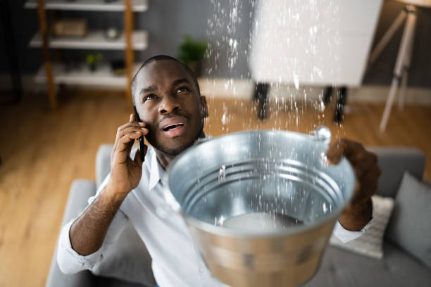 Best Sewage cleanup and water damage restoration  in Thunderbolt, GA