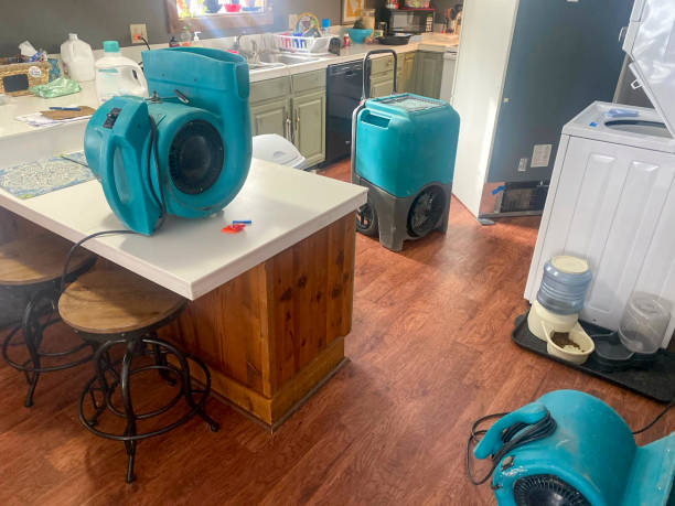Best Carpet water damage restoration  in Thunderbolt, GA