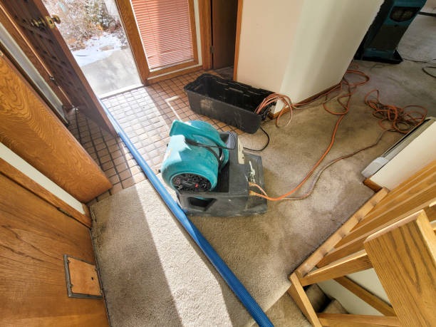 Best Mold removal after water damage  in Thunderbolt, GA