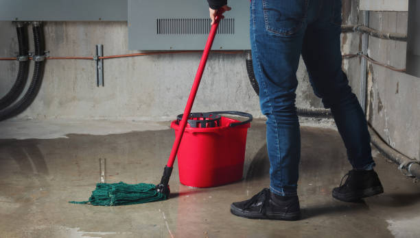 Best Mold removal after water damage  in Thunderbolt, GA