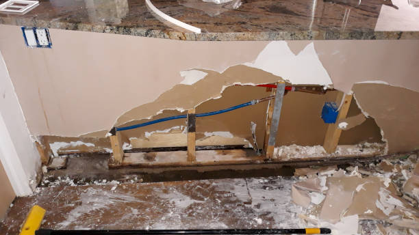 Best Ceiling water damage repair  in Thunderbolt, GA