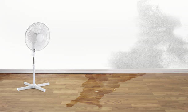 Trusted GA Water damage restoration Experts