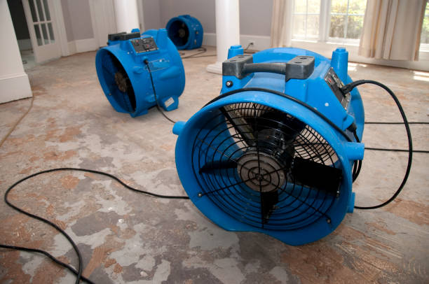 Best Water damage restoration process  in Thunderbolt, GA