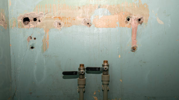 Best Emergency water damage restoration  in Thunderbolt, GA