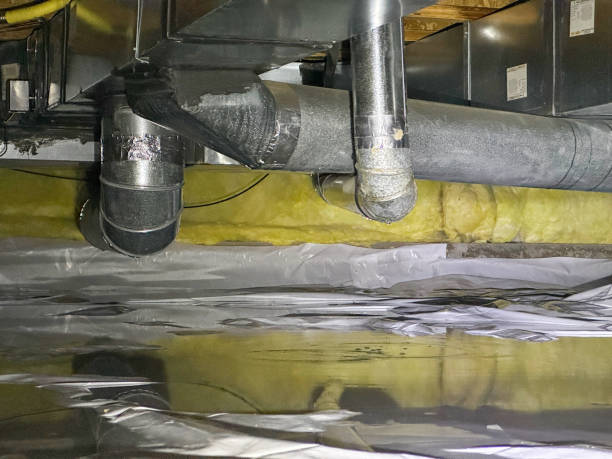 Best Ceiling water damage repair  in Thunderbolt, GA