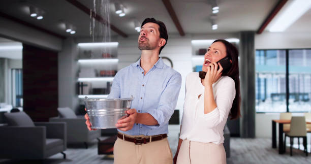 Best 24/7 water damage repair  in Thunderbolt, GA