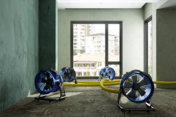 Best 24-hour water damage restoration  in Thunderbolt, GA