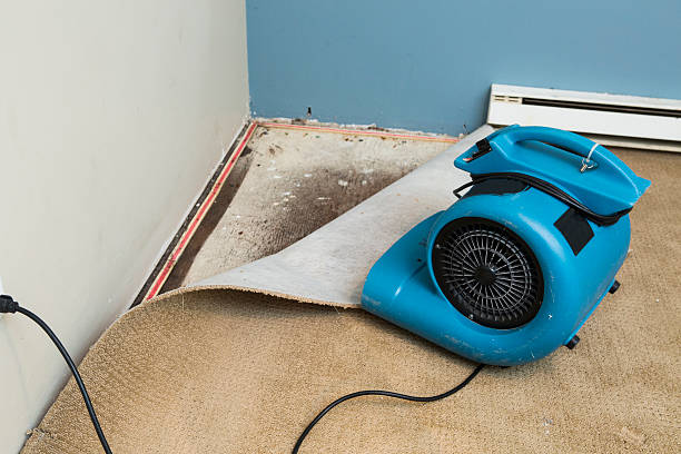 Best Local water damage restoration  in Thunderbolt, GA